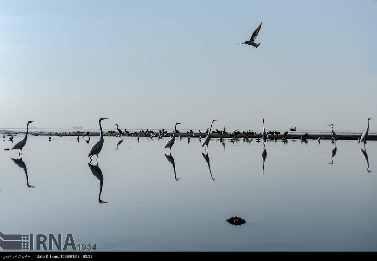 Qeshm Island
