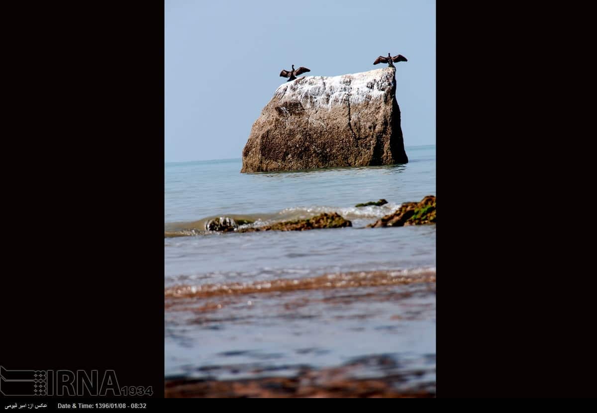 Qeshm Island