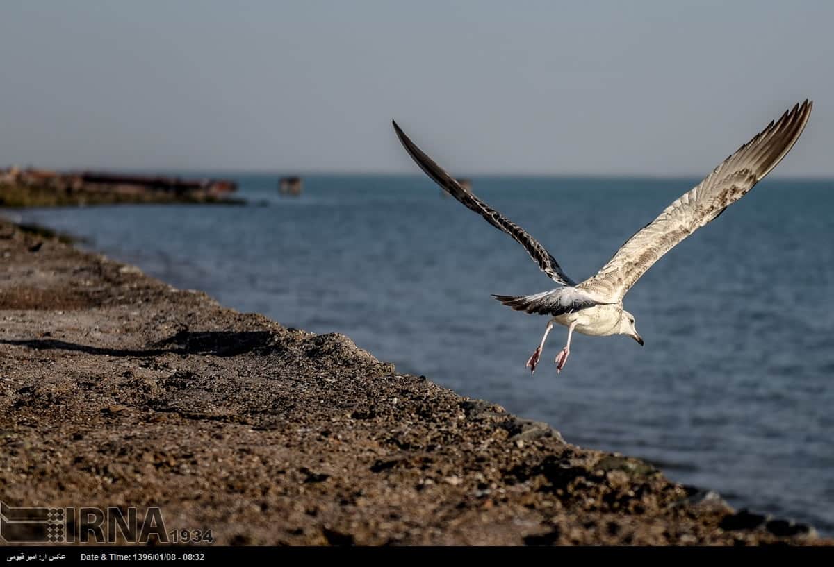 Hormuz Island