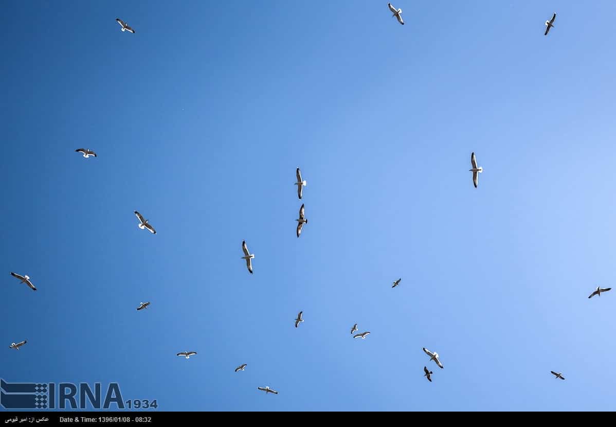 Hormuz Island