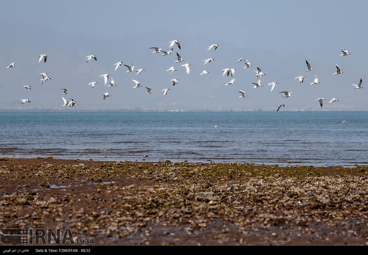 Hormuz Island