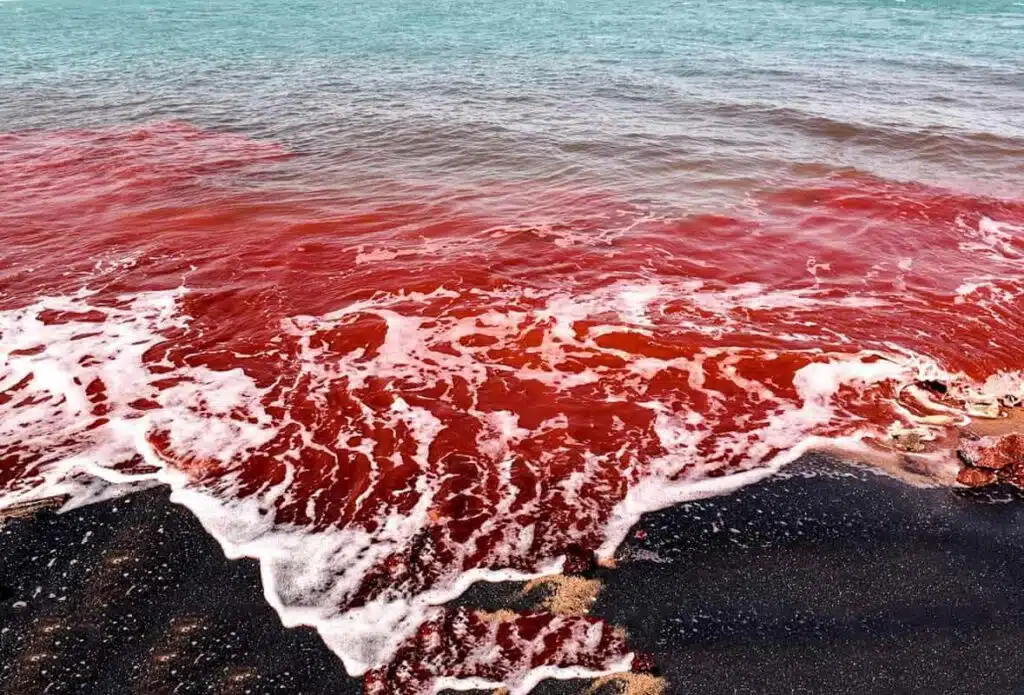 Hormuz Island – The Rainbow Island
