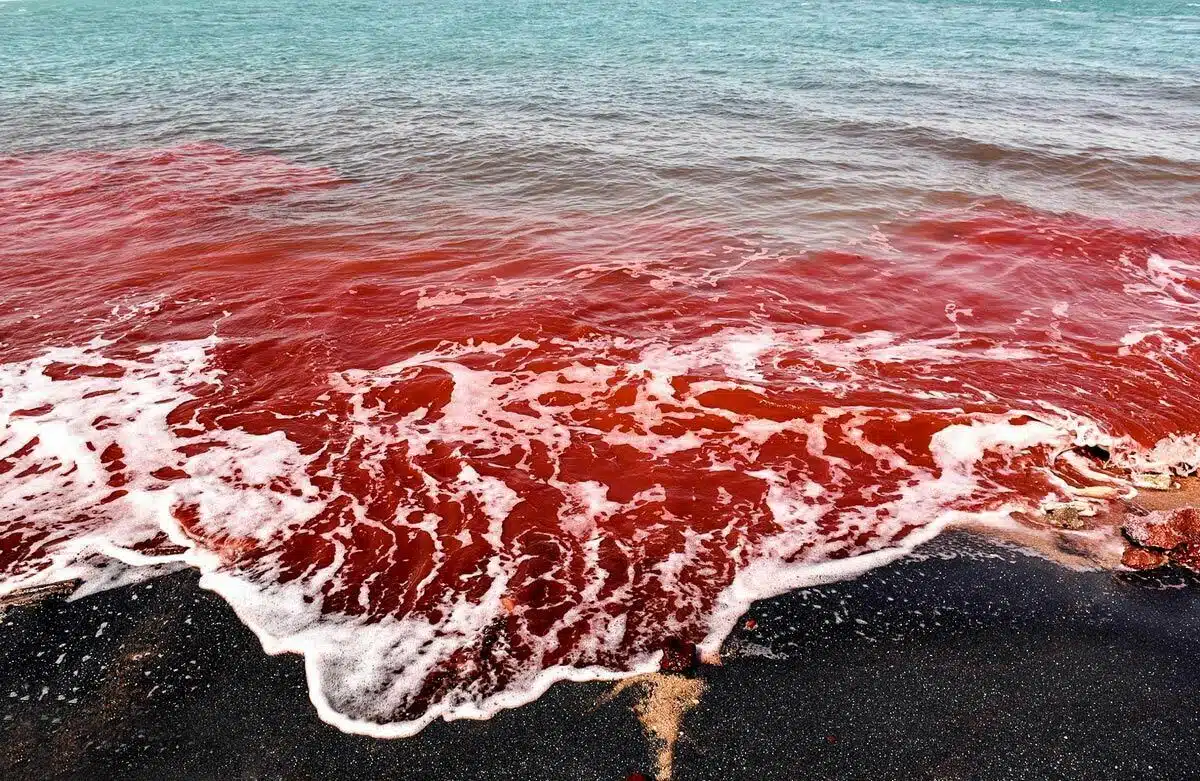 Hormuz Island – The Rainbow Island