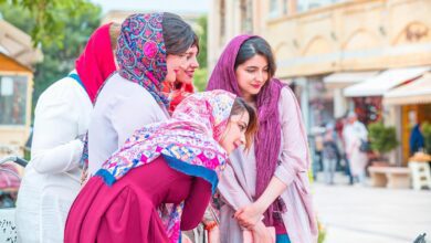 Insights Into Social Norms And People