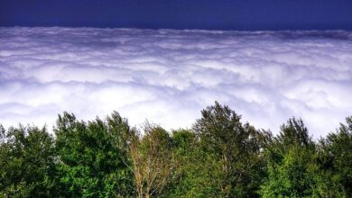 Top 15 Reasons To Explore Jangal-E Abr With Surfiran 6 Jangal E Abr (Literary Meaning Cloud Forest), Alborz Mountain Range, Iran
