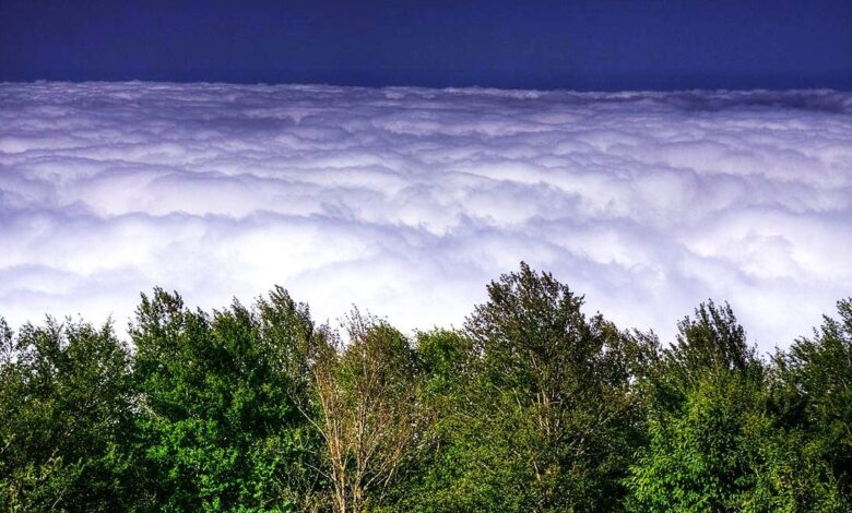 Top 15 Reasons To Explore Jangal-E Abr With Surfiran 1 Jangal E Abr (Literary Meaning Cloud Forest), Alborz Mountain Range, Iran