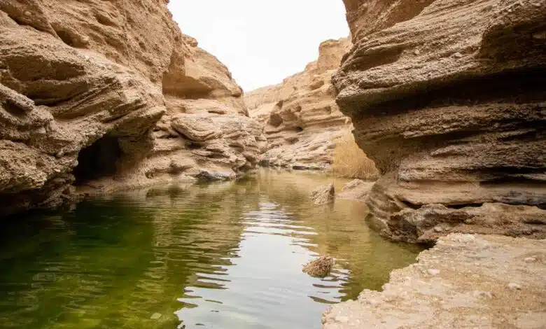 The desert region of Tabas, Iran’s next geopark