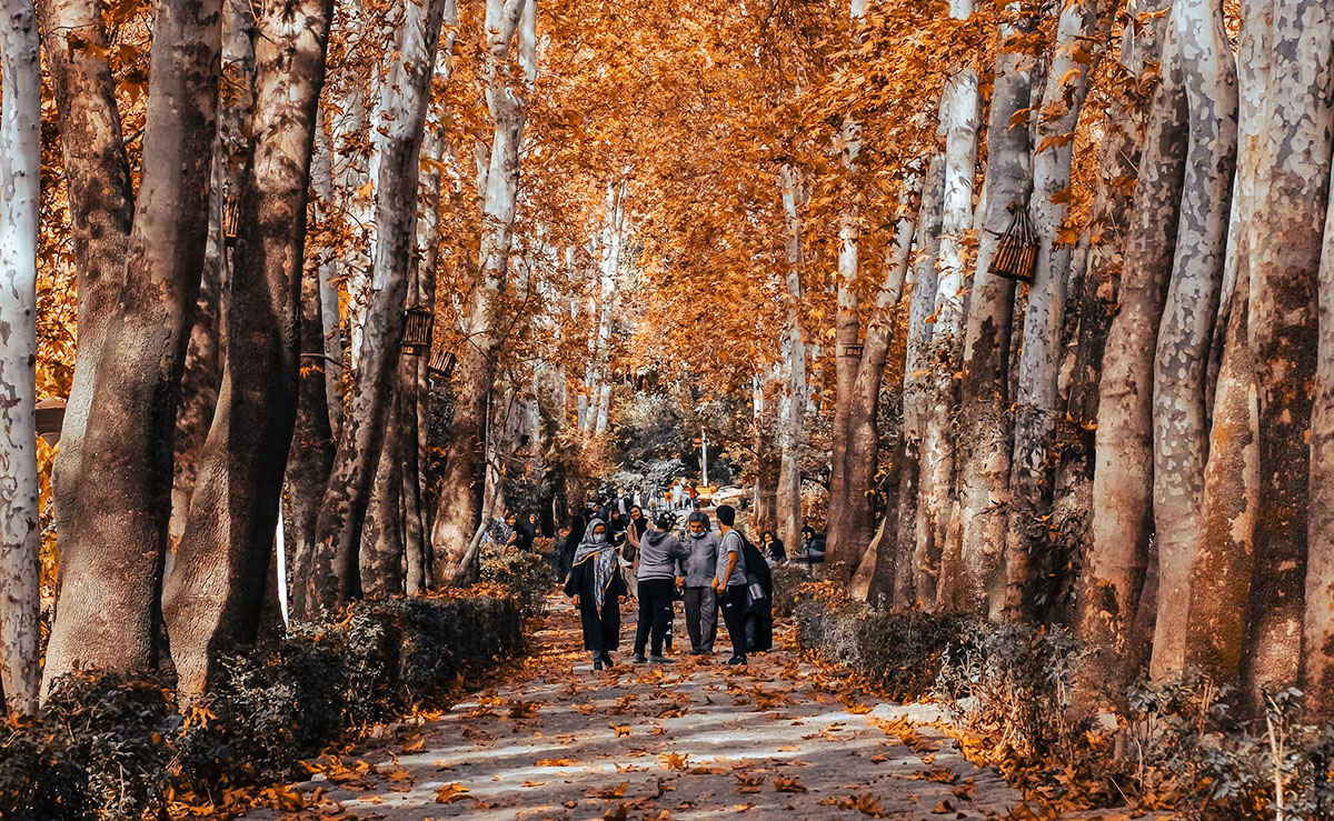 A Walking Track In Tehran, Photo By Omid Armin A Walking Track In Tehran, Photo By Omid Armin