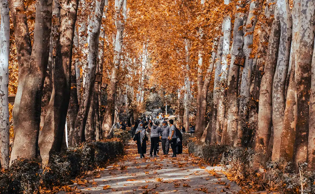 A walking track in Tehran