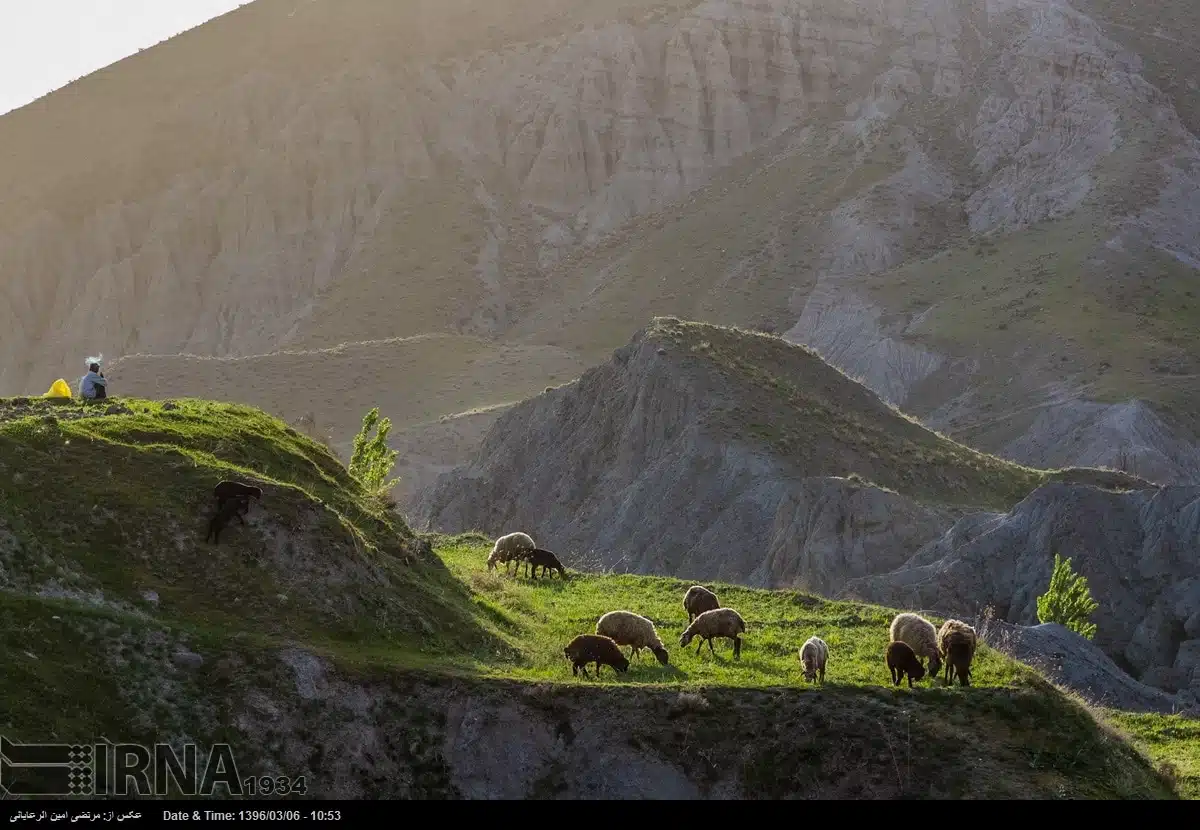 Spring Nature of Neyshabur