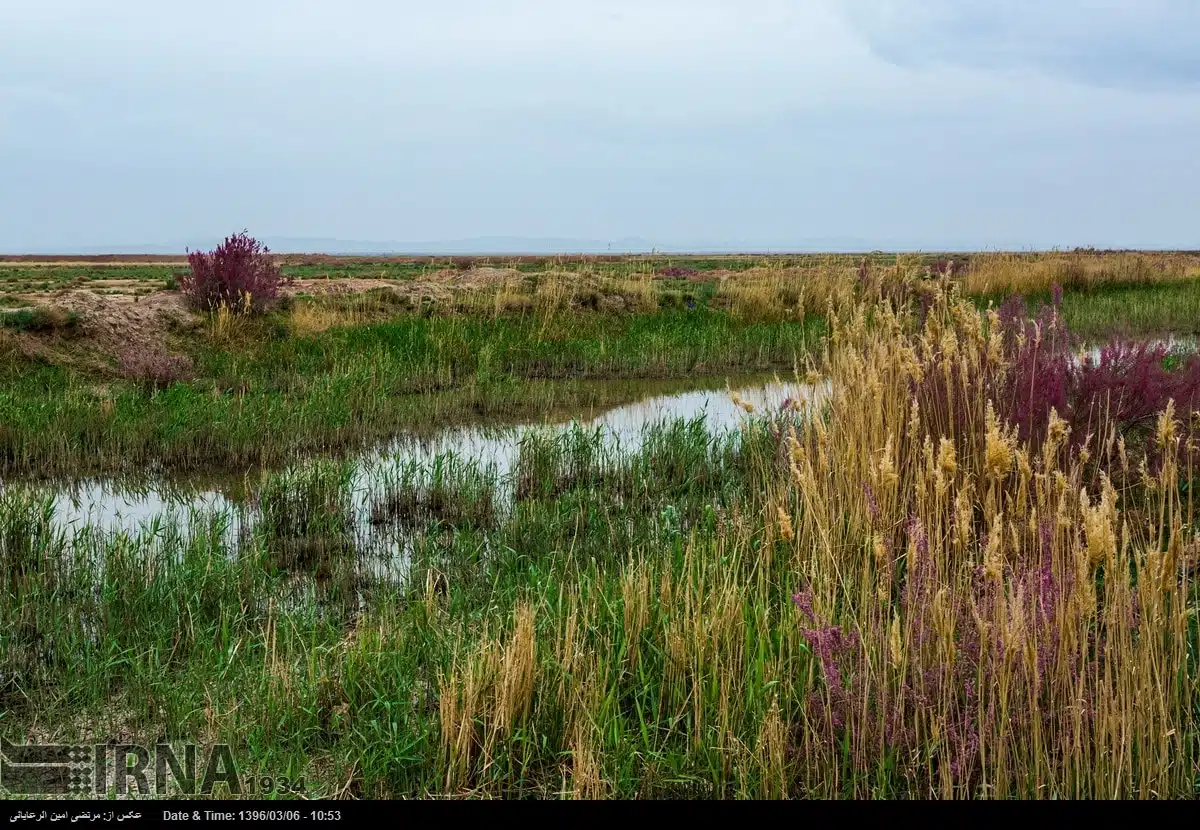Khorasan province in spring