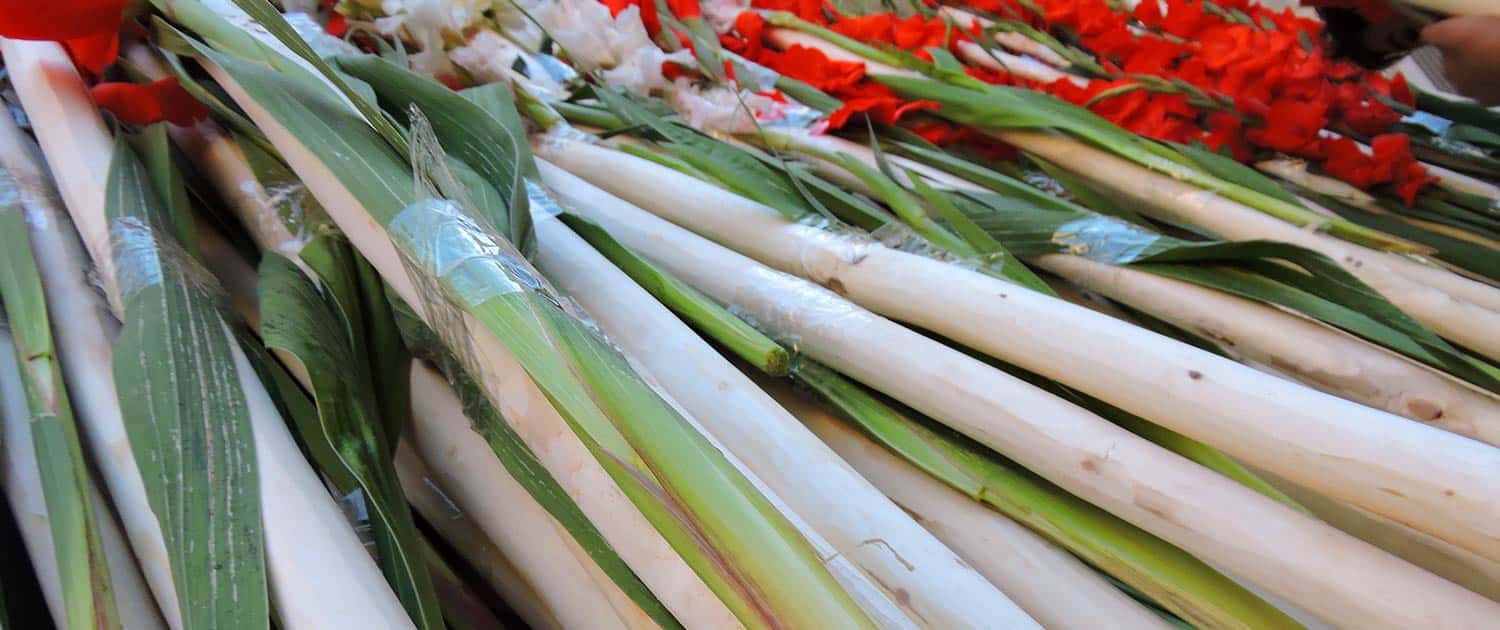 Qalischuyan (Carpet Washing) Rituals In Mashhad Ardehal, Kashan