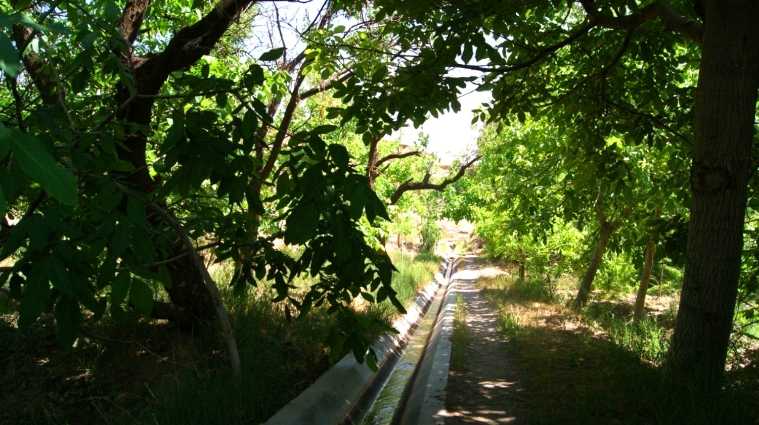 Qasabe Qanats Of Gonabad