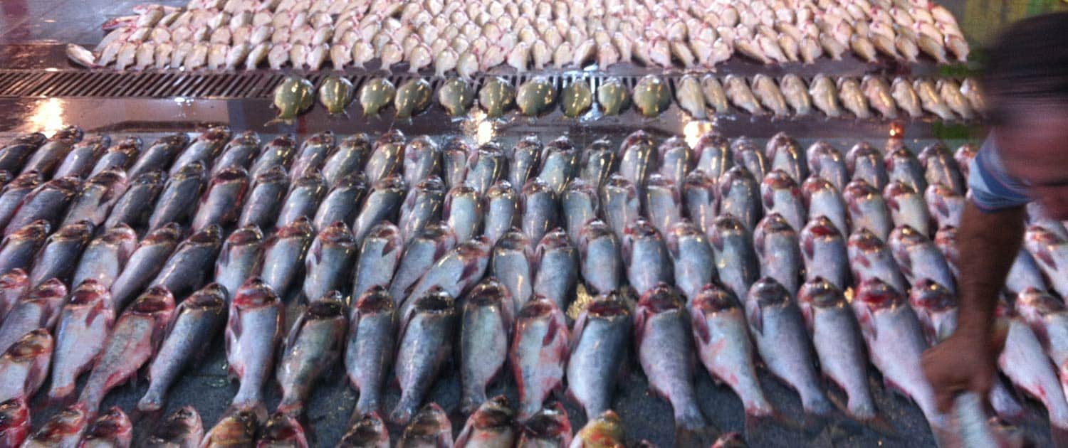 Rasht Market Rasht Market