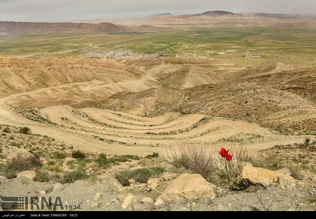 Spring in Iran