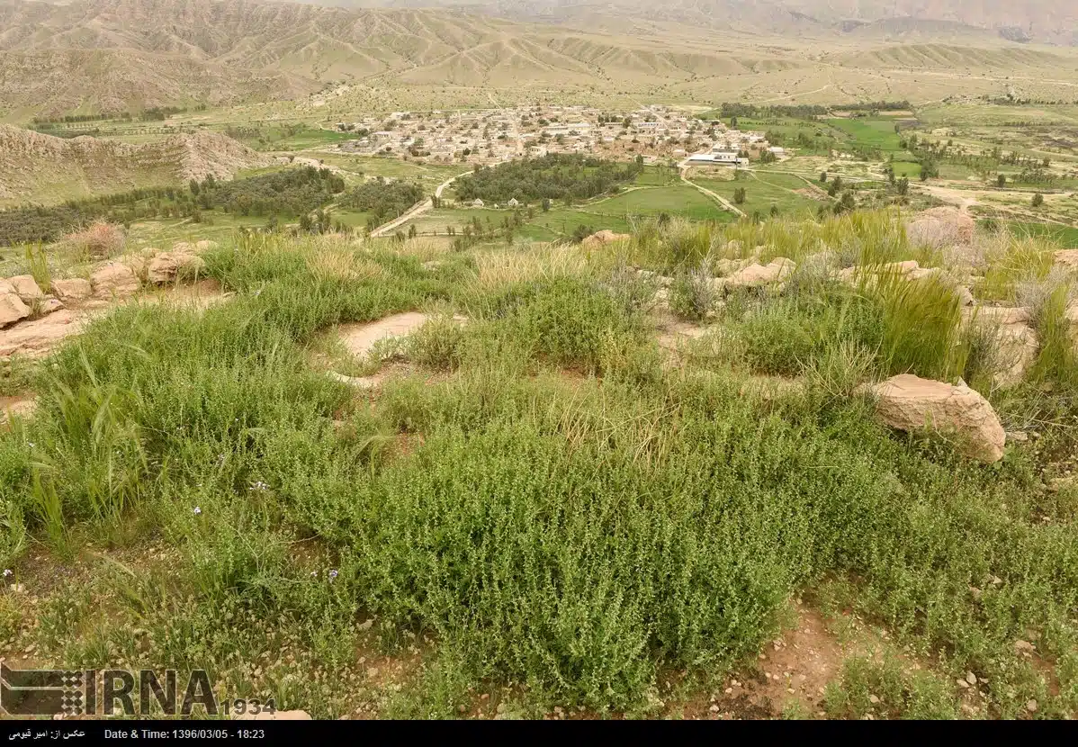 Nature of Iran