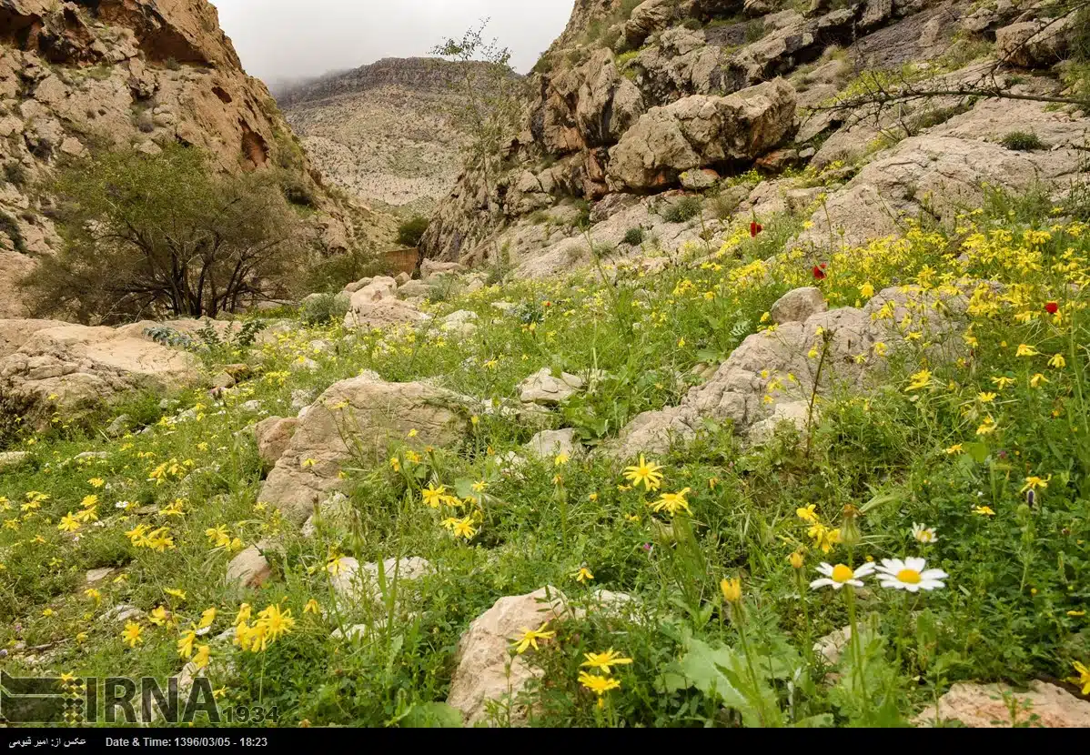 Nature of Iran
