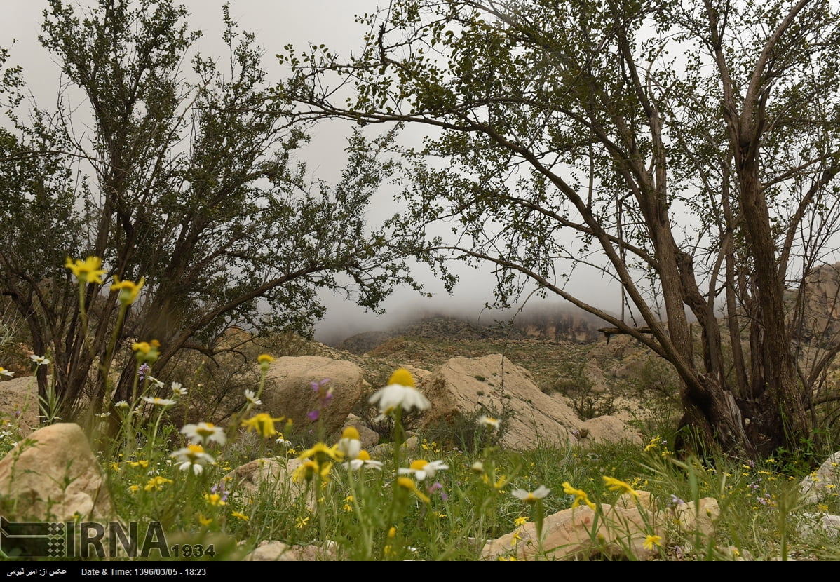 Spring Nature Of Fars Province Spring Nature Of Fars Province