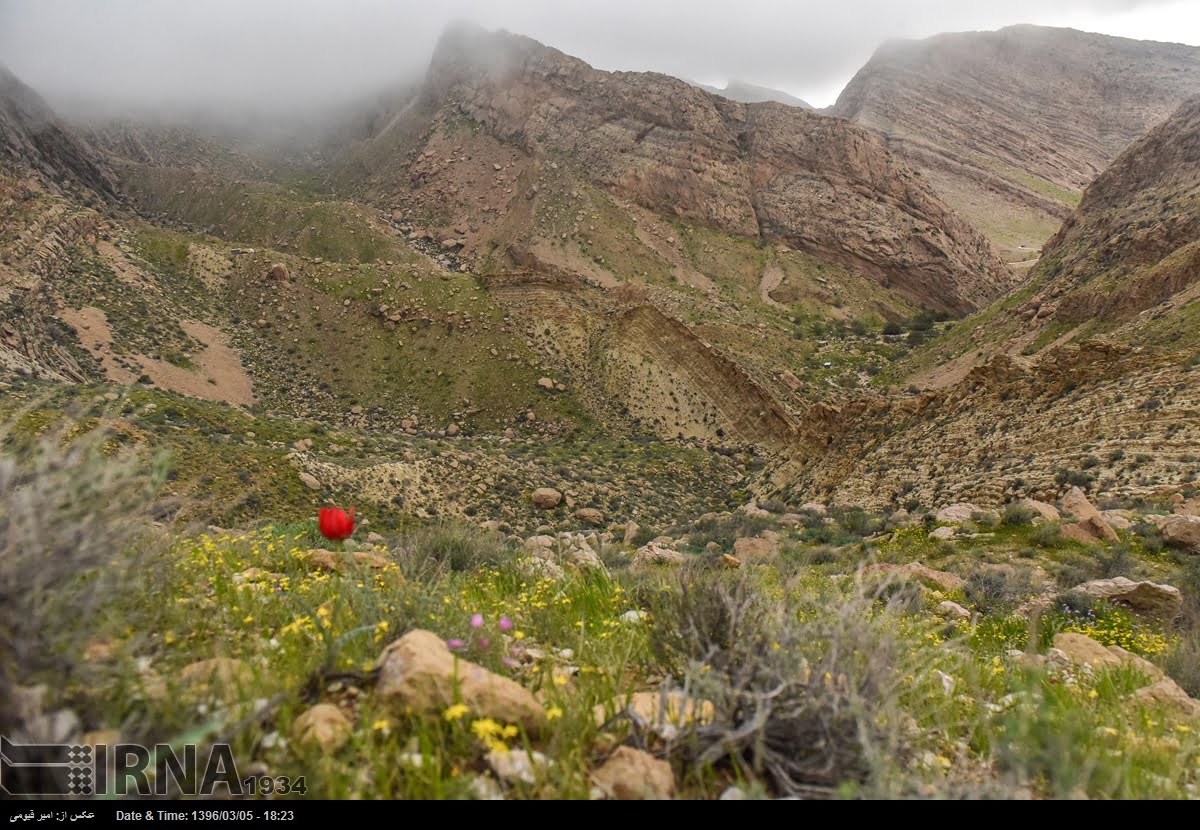 Spring Nature Of Fars Province Spring Nature Of Fars Province