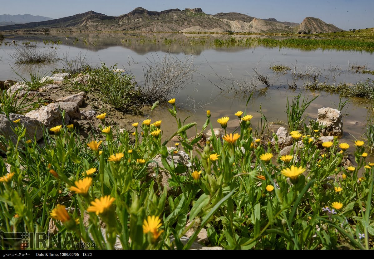 Spring Nature Of Fars Province Spring Nature Of Fars Province
