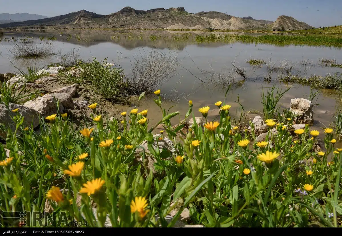 Spring Nature of Fars Province