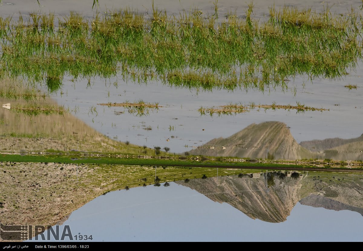 Spring Nature Of Fars Province Spring Nature Of Fars Province