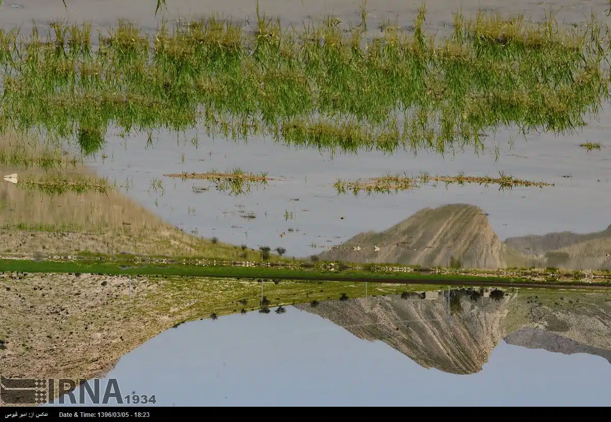 Spring Nature of Fars Province