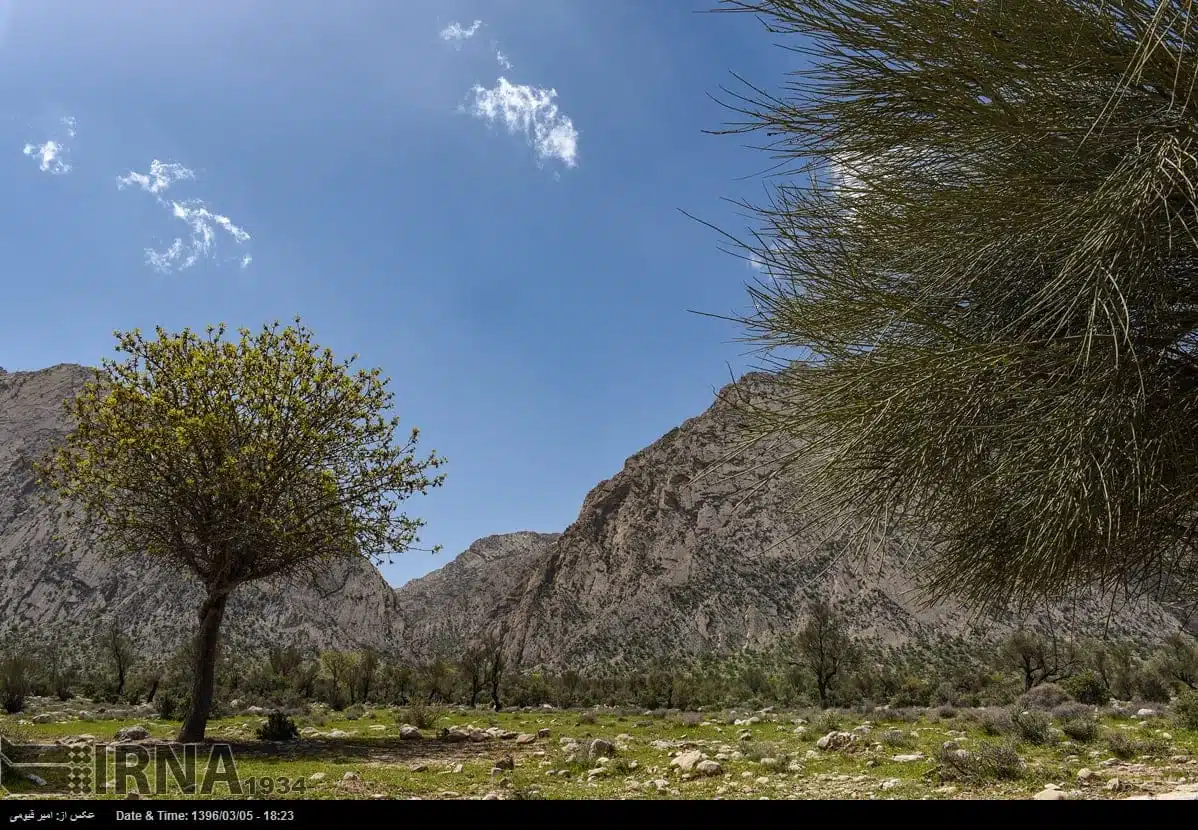 Spring Nature of Fars Province