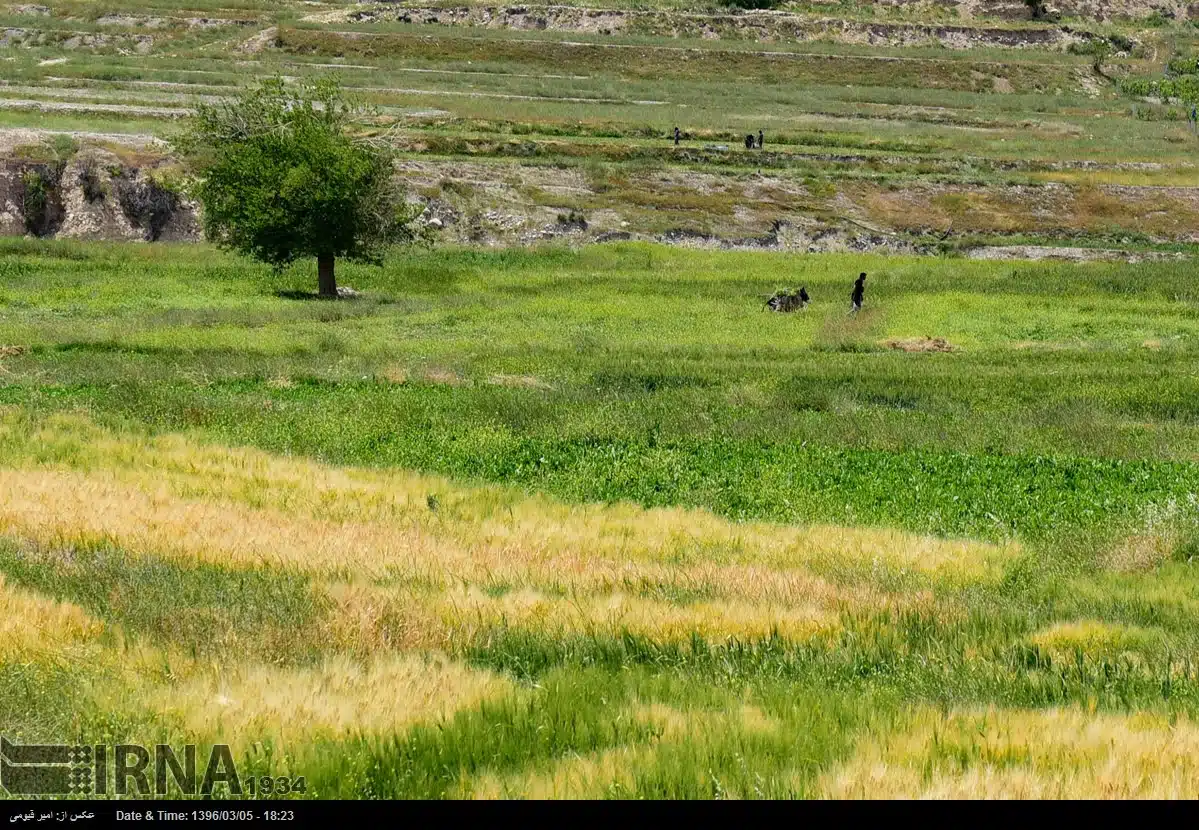 Spring Nature of Fars Province