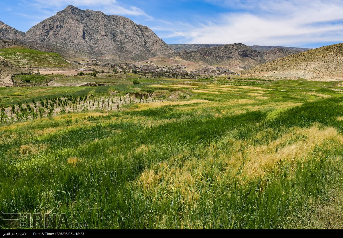 Spring Nature Of Fars Province Spring Nature Of Fars Province
