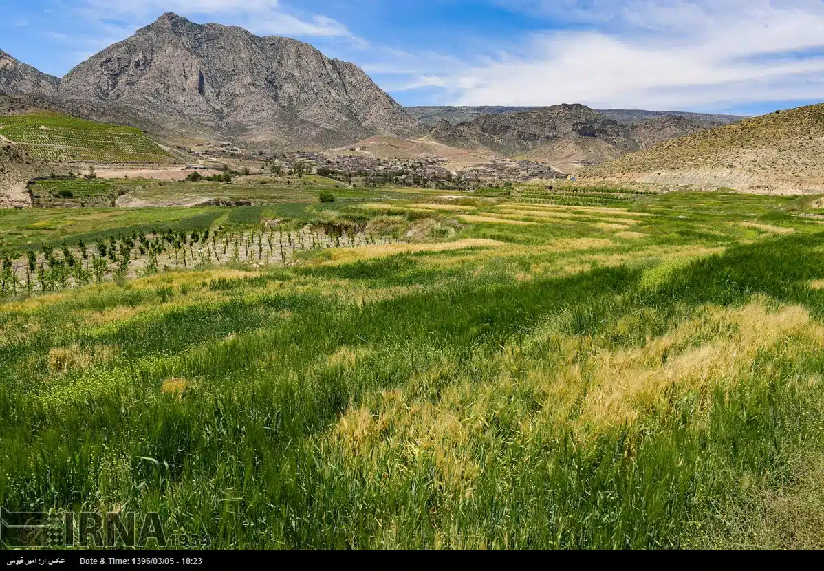 Nature of Fars