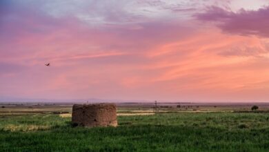 Discover Spring In Neyshabur: Iran'S Burst Of Nature And History 2 Spring Nature Of Neyshabur