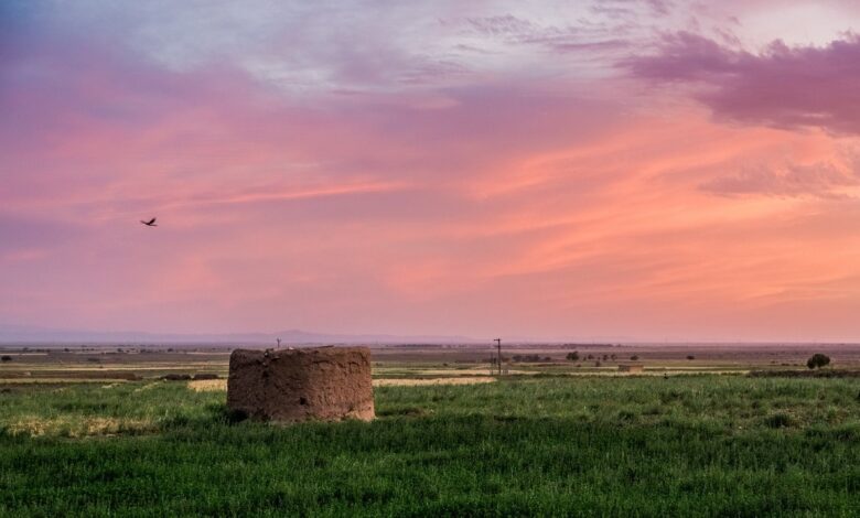 Discover Spring In Neyshabur: Iran'S Burst Of Nature And History 1 Spring Nature Of Neyshabur