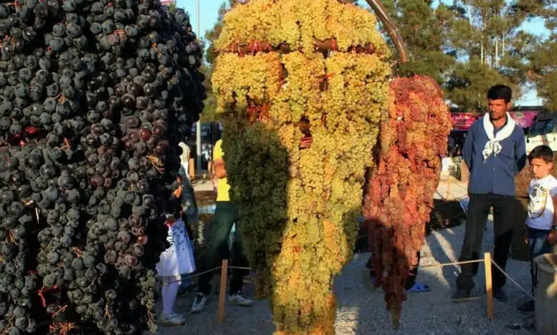 The Grapes Festival in Iran