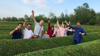 The History Of Tea In Iran 3 The History Of Tea In Iran