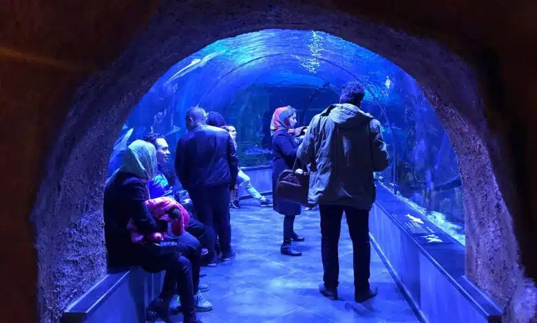 The Largest Aquarium Tunnel in Iran Opens in Bandar-e Anzali - SURFIRAN