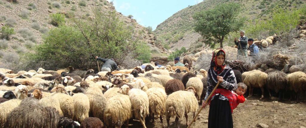 Visiting Iran Nomads Surfiran X Visiting Iran Nomads Surfiran X