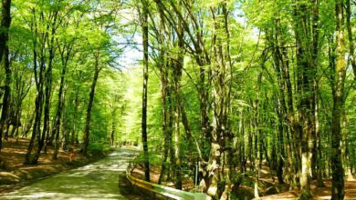 Golestan Province: The Magnificent Hidden Gem Of Iran 8 Feature