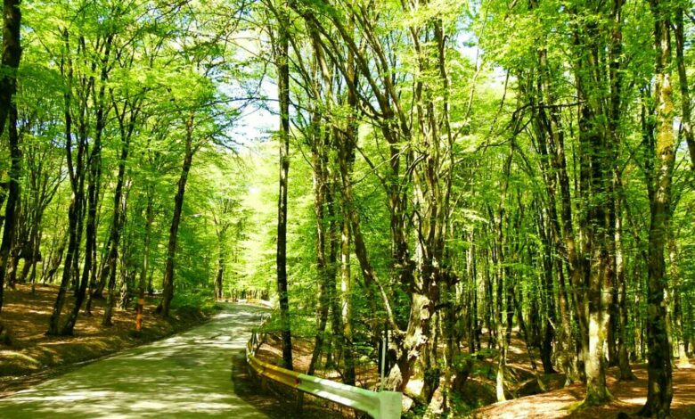 Golestan Province: The Magnificent Hidden Gem Of Iran 1 Feature