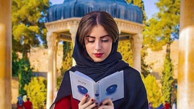 Shiraz Travel Guide 3 Shiraz Travel Guide