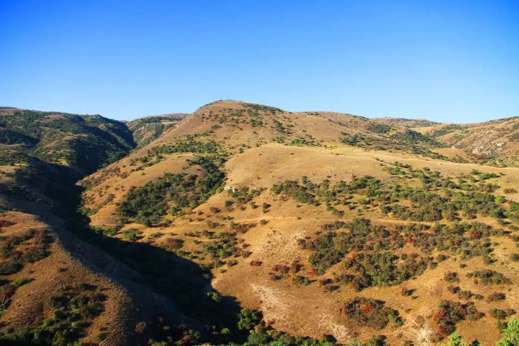Golestan National Park