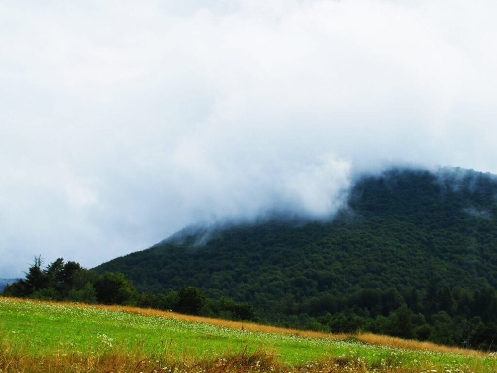 Travel To The Irans Jangal E Abr Jungle Of Clouds Surfiran Travel To The Irans Jangal E Abr Jungle Of Clouds Surfiran