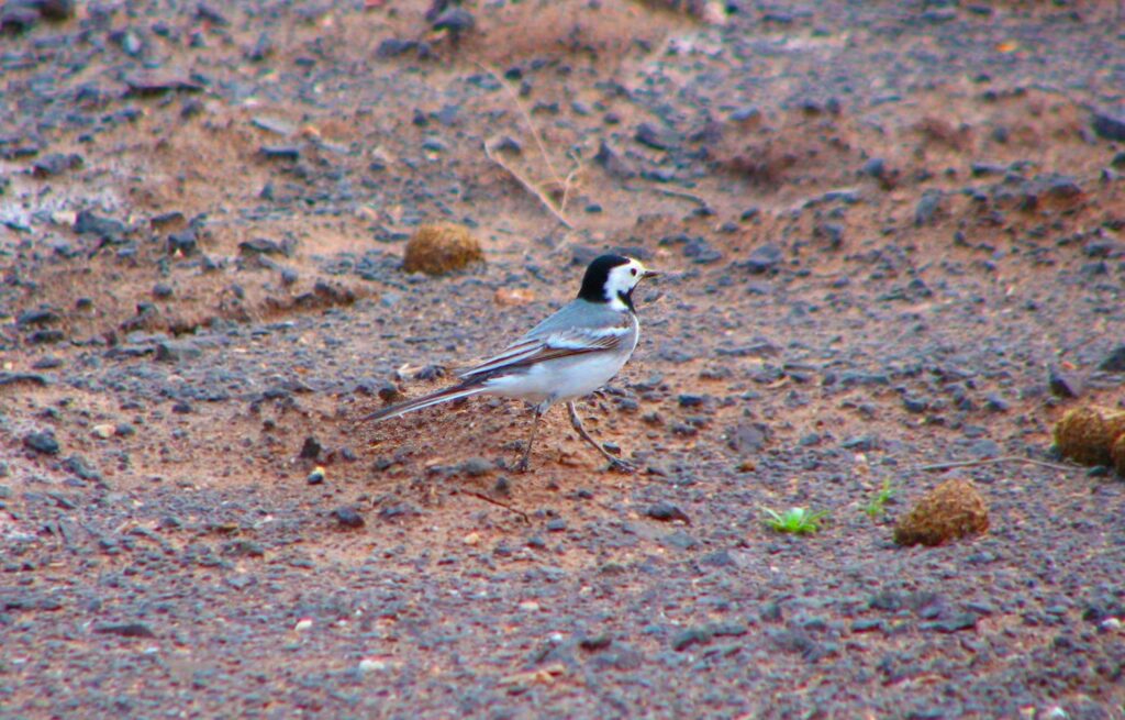 Turan National Park Image