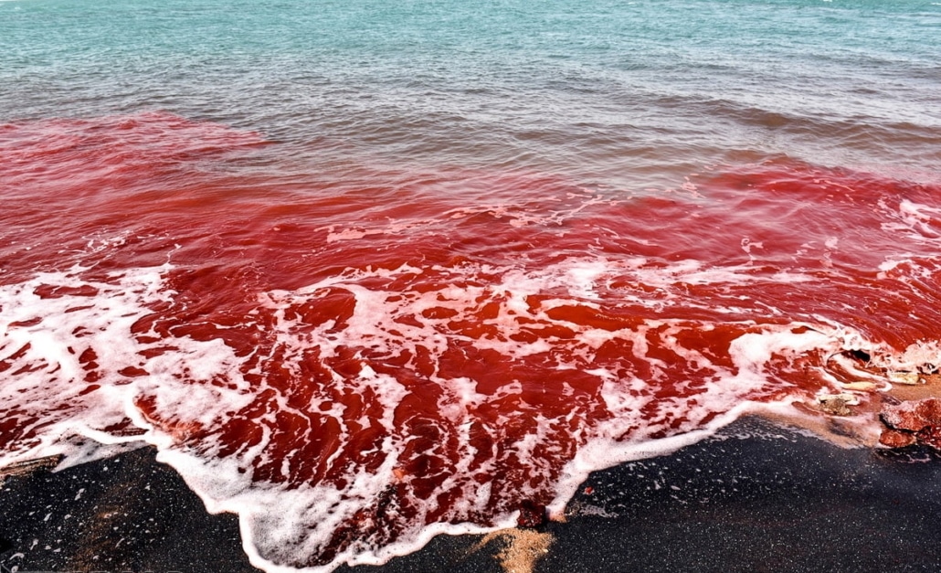 The Most Beautiful Islands Of Iran