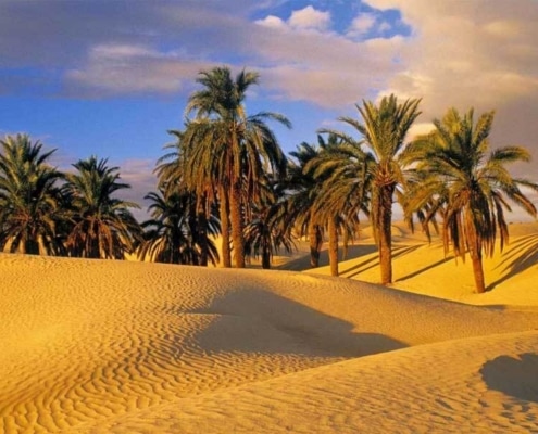 Top Iran Deserts You Must Explore