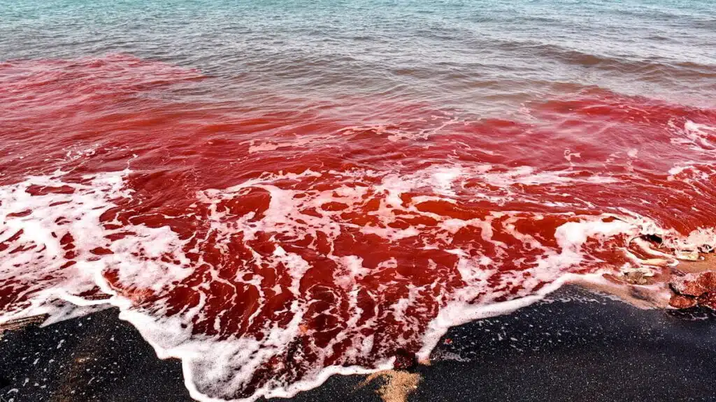 Hormuz Island