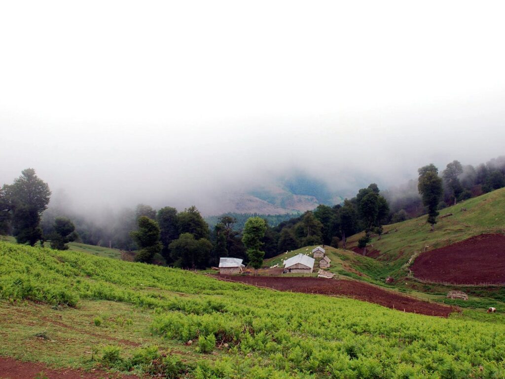 Olsabelangah, Masal Olsabelangah, Masal