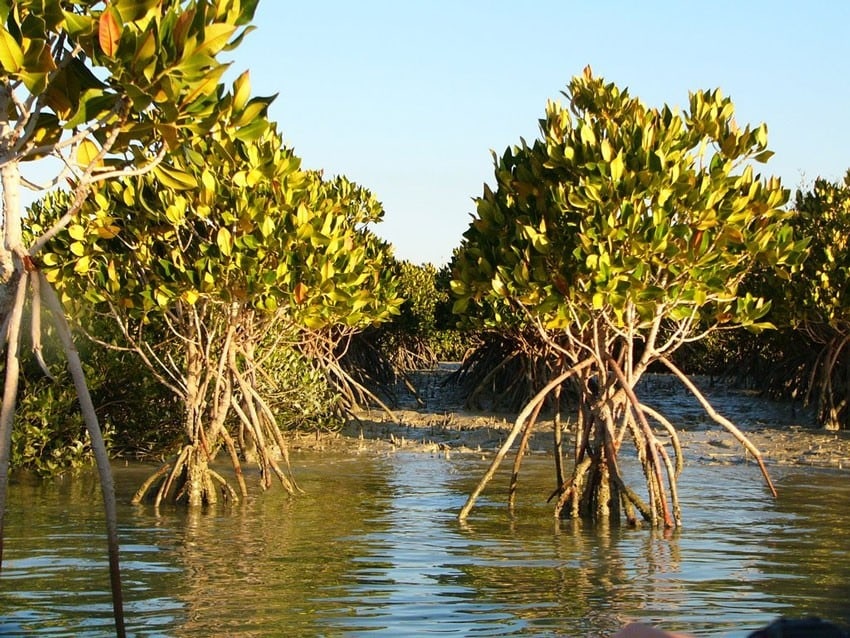 Hướng dẫn du lịch Qeshm