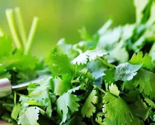 The Most Delicious Iranian Cuisine In Each Of The Cities Of Iran