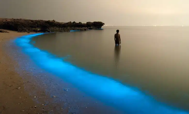 The Most Beautiful Islands Of Iran The Most Beautiful Islands Of Iran